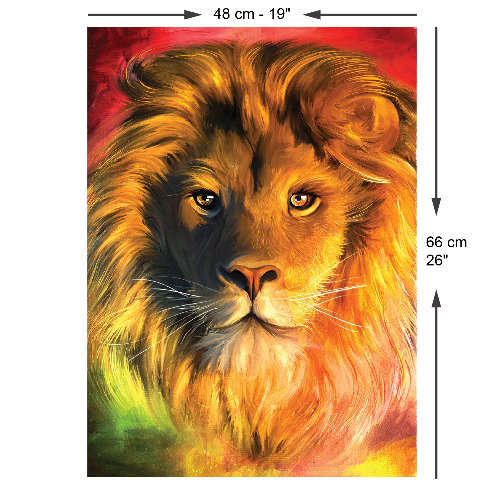 Picture Matching Puzzle ライオン Amazon.com: African Lion Black and White Puzzles 1000 Pieces