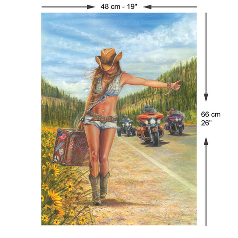 American Gypsy 1000 Piece Jigsaw Puzzle