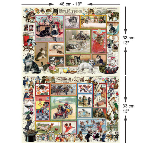 Cute Kittens & Comical Dogs