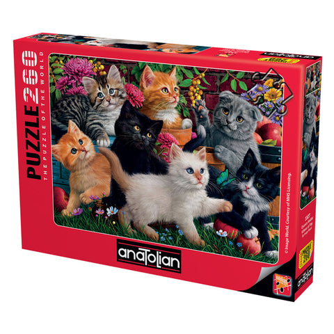 Kittens At Play 260 Piece Jigsaw Puzzle