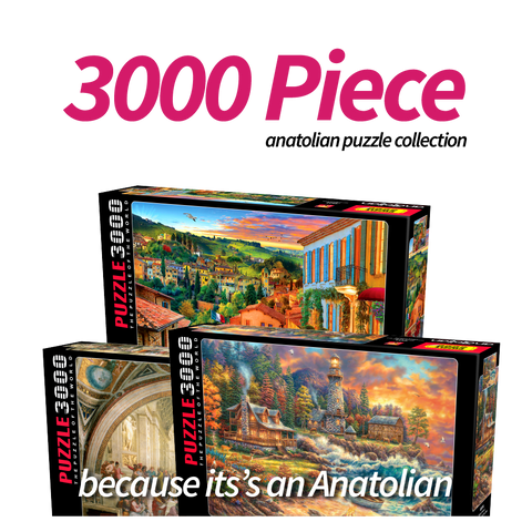 3000 Piece