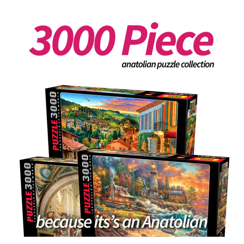 3000 Piece