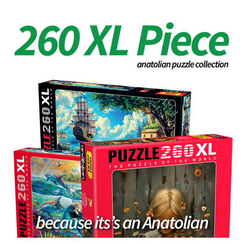 260 XL Piece